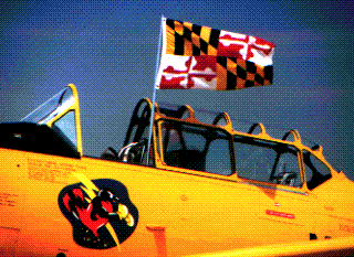 [T6 with MD Flag]